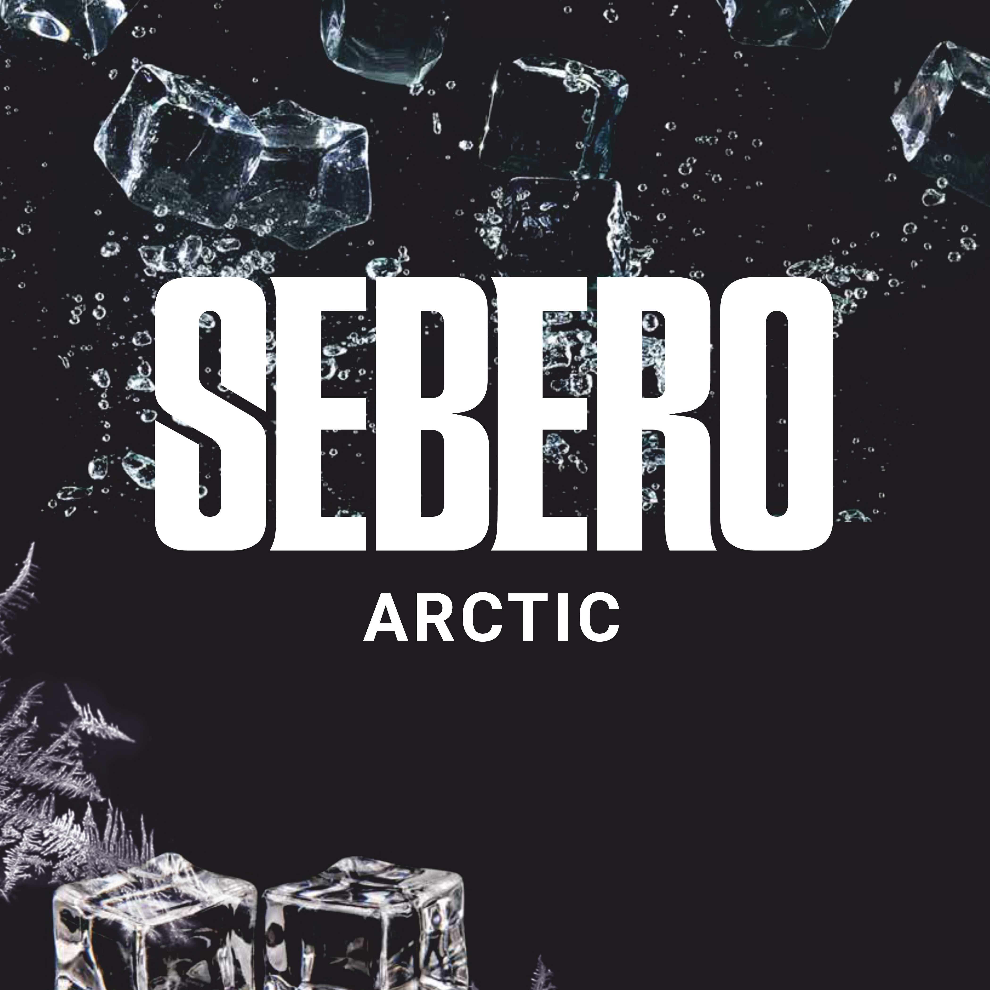 картинка Табак Sebero - Арктик (Arctic) 100 гр. от магазина BigSmoke