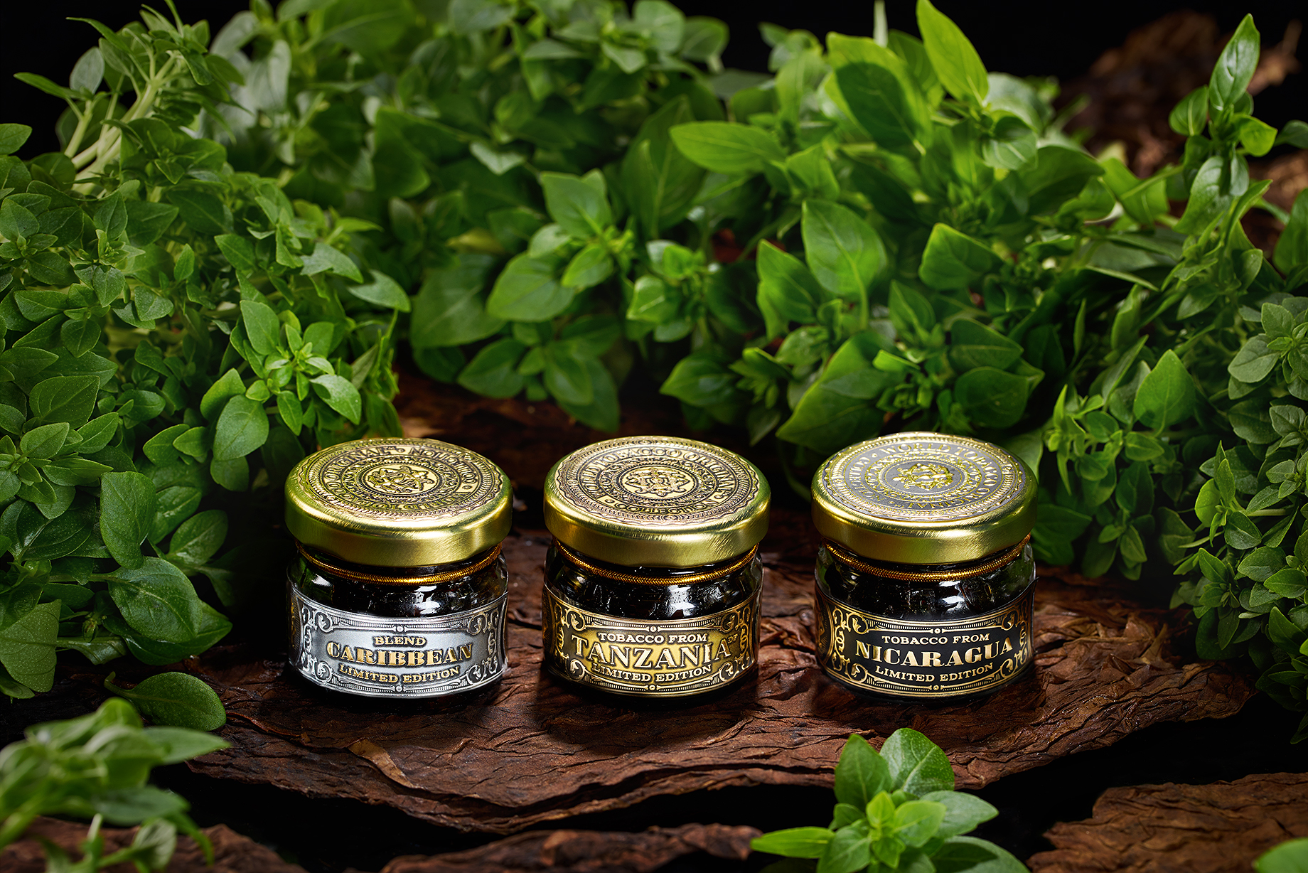 картинка Табак WTO Nicaragua – Базилик 20 гр. от магазина BigSmoke