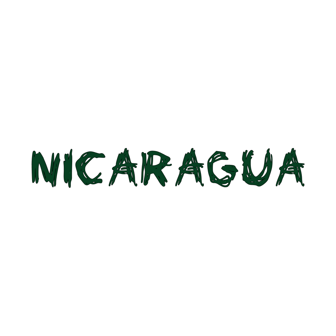 WTO Nicaragua