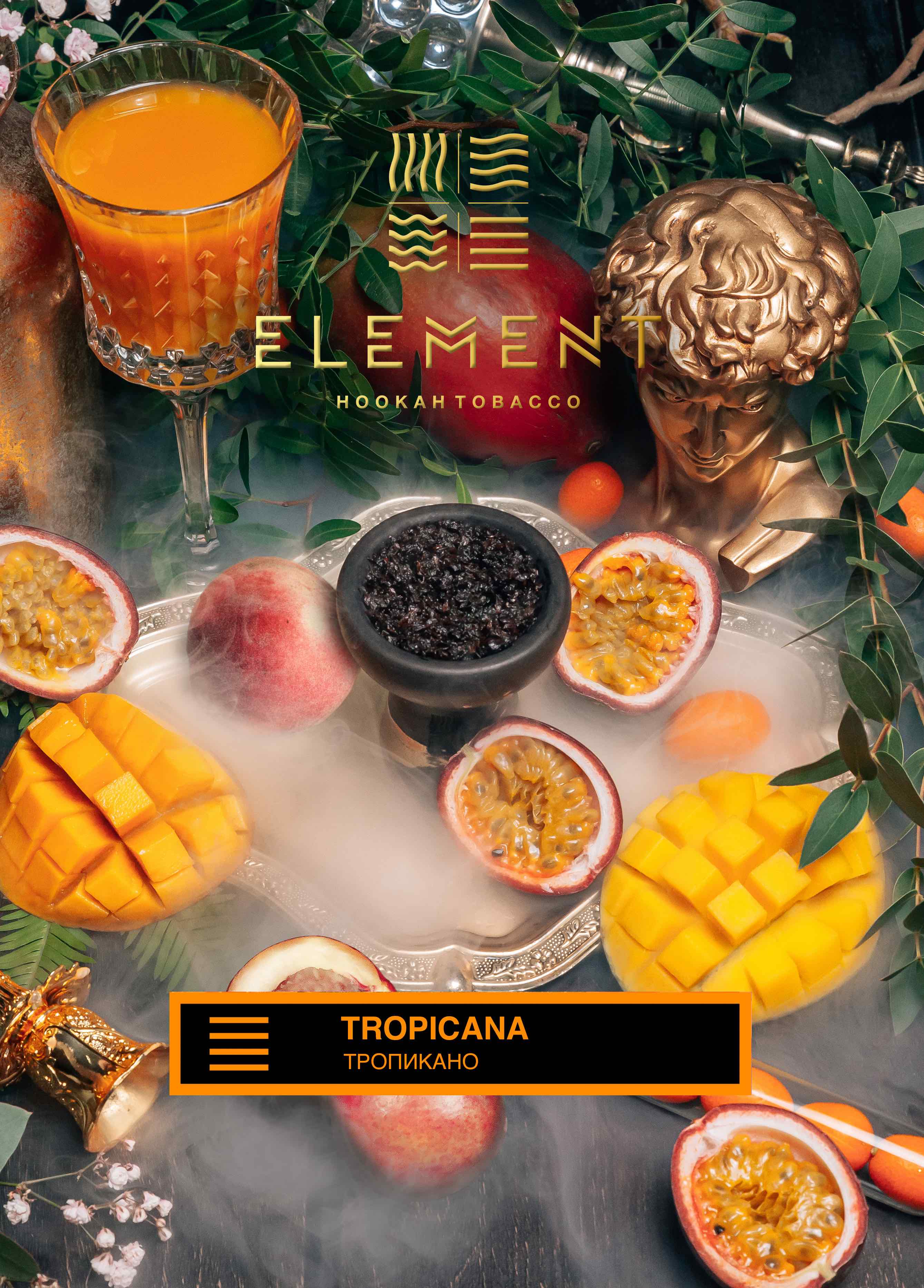 картинка Табак Element Земля - Tropicana 25 гр. от магазина BigSmoke