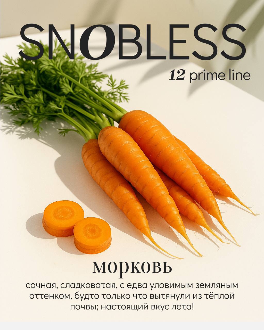 картинка Табак Snobless - Морковь (Carrot) 25 гр. от магазина BigSmoke