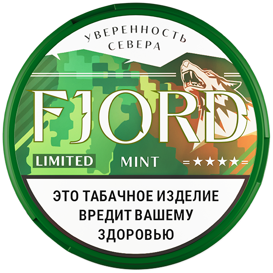 картинка Табак Жевательный Fjord - Limited Mint от магазина BigSmoke