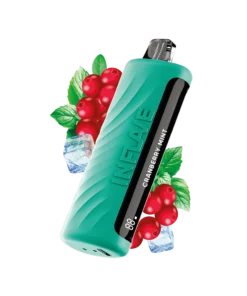картинка Inflave Omega 10000 - Клюква Мята от магазина BigSmoke